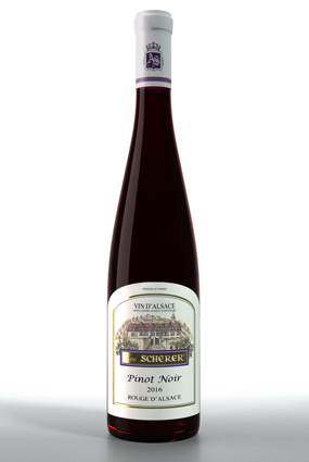 Vente de vin Pinot Noir 2022 Rouge D’alsace - Achat de bouteille de vin rouge d'Alsace aoc