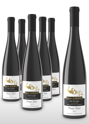Vente de vin Pinot noir 2020 Réserve Particulière - Le Carton de 6 Bouteilles - Achat de bouteille de vin blanc d'Alsace aoc