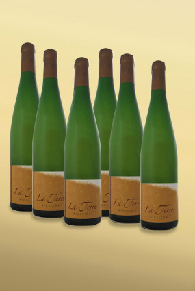 Vente de carton de 6 bouteilles de vin Riesling 2022 