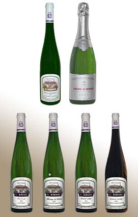 6 bouteilles de vin d'Alsace Discount : 1 Riesling, 1 Muscat, 1 Pinot Gris, 1 Pinot Noir, 1 Gewurztraminer et 1 Cremant Brut d'Alsace discount