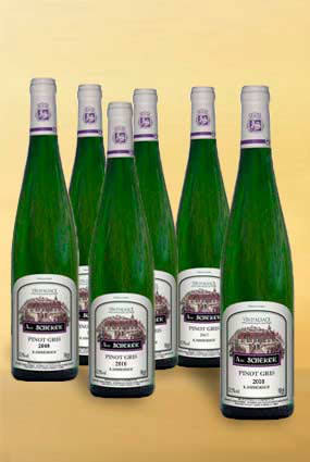 Promotion ! Vente de vin Pinot Gris 2010 Kammerhof par carton de 6 bouteilles - Achat de bouteille de vin d'Alsace aoc